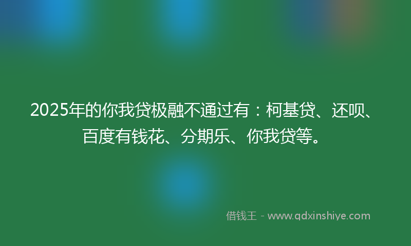 2025年的你我贷极融不通过有：柯基贷、还呗、百度有钱花、分期乐、你我贷等。