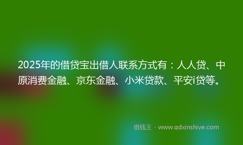2025年的借贷宝出借人联系方式有：人人贷、中原消费金融、京东金融、小米贷款、平安i贷等。