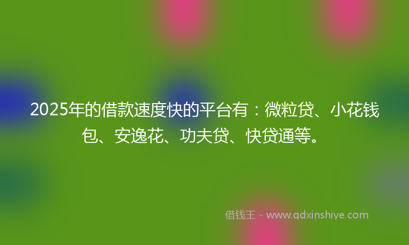 2025年的借款速度快的平台有：微粒贷、小花钱包、安逸花、功夫贷、快贷通等。