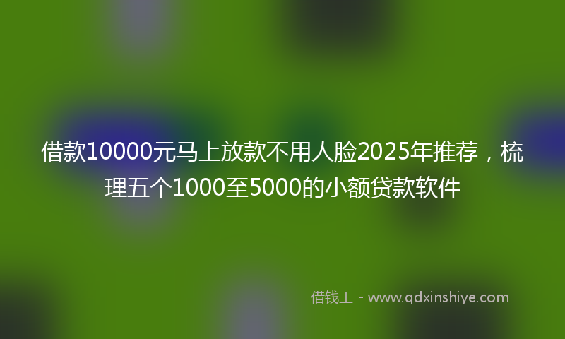 借款10000元马上放款不用人脸2025年推荐，梳理五个1000至5000的小额贷款软件