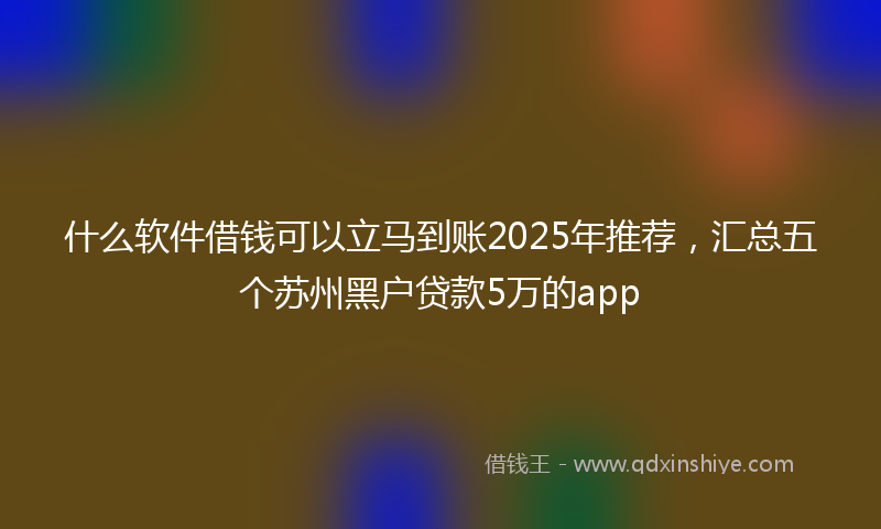 什么软件借钱可以立马到账2025年推荐，汇总五个苏州黑户贷款5万的app