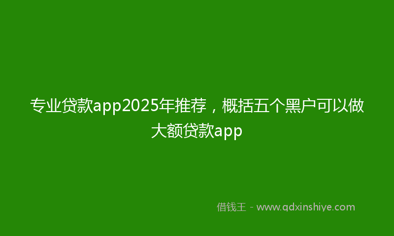 专业贷款app2025年推荐，概括五个黑户可以做大额贷款app