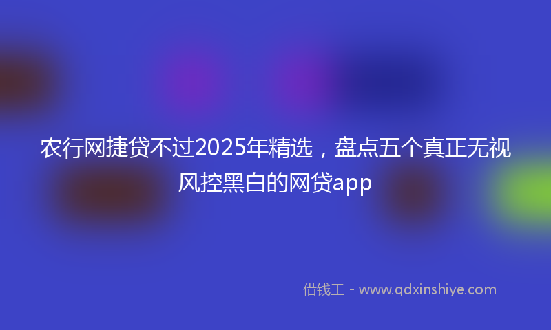 农行网捷贷不过2025年精选，盘点五个真正无视风控黑白的网贷app
