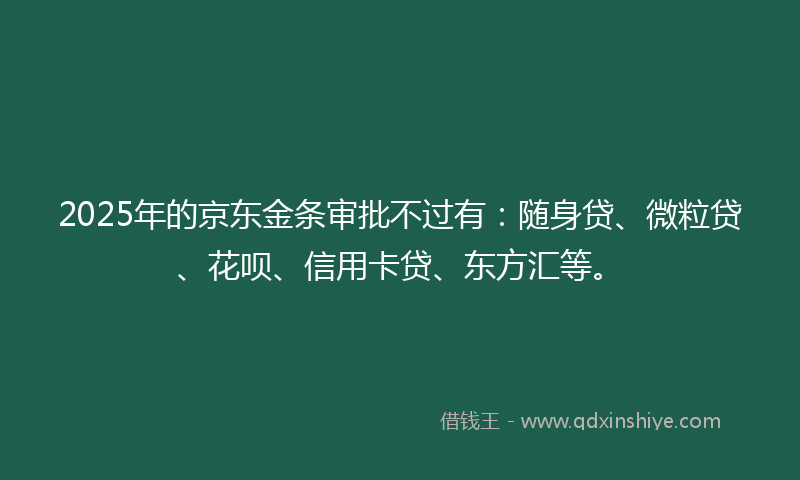 2025年的京东金条审批不过有：随身贷、微粒贷、花呗、信用卡贷、东方汇等。