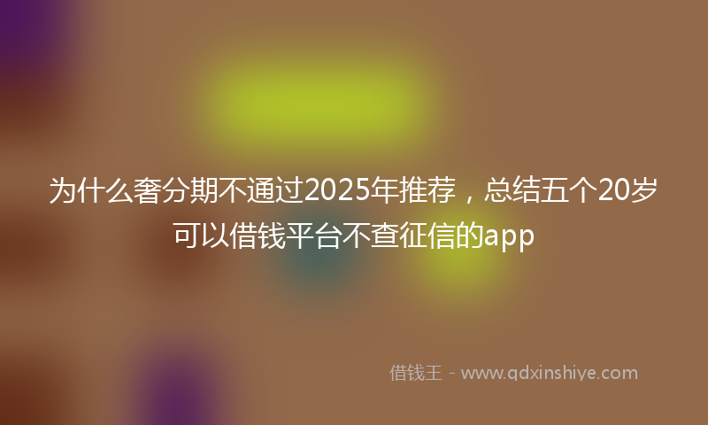 为什么奢分期不通过2025年推荐,总结五个20岁可以借钱平台不查征信的app