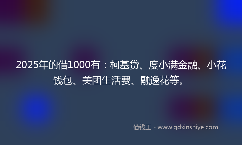 2025年的借1000有：柯基贷、度小满金融、小花钱包、美团生活费、融逸花等。