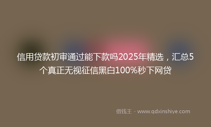 信用贷款初审通过能下款吗2025年精选，汇总5个真正无视征信黑白100%秒下网贷