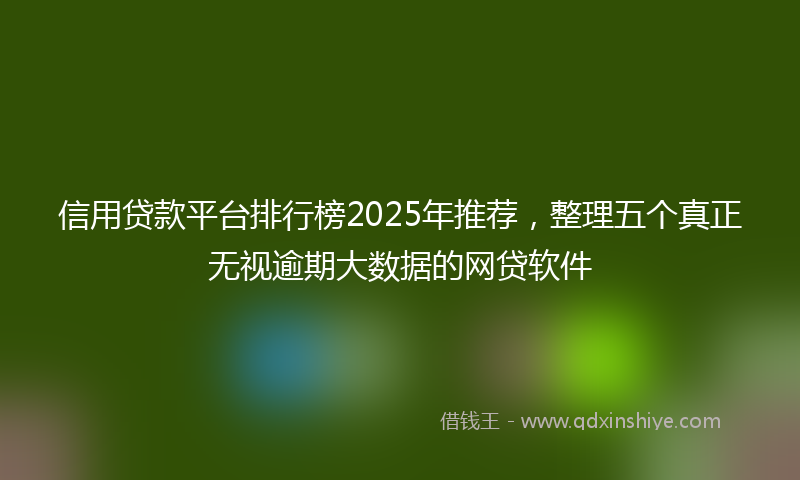 信用贷款平台排行榜2025年推荐，整理五个真正无视逾期大数据的网贷软件