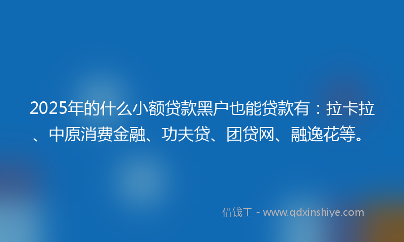 2025年的什么小额贷款黑户也能贷款有：拉卡拉、中原消费金融、功夫贷、团贷网、融逸花等。