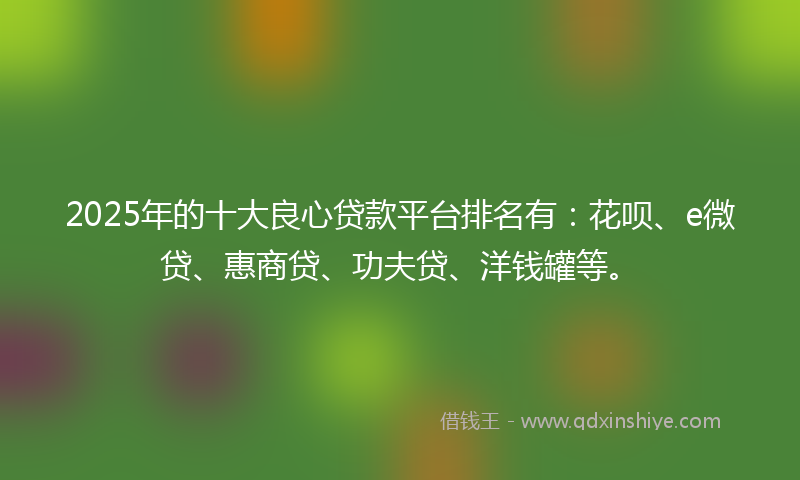 2025年的十大良心贷款平台排名有：花呗、e微贷、惠商贷、功夫贷、洋钱罐等。
