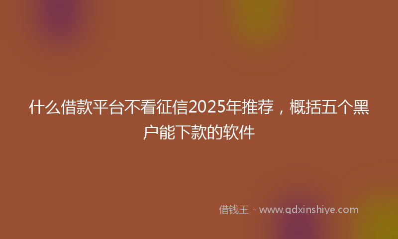什么借款平台不看征信2025年推荐，概括五个黑户能下款的软件