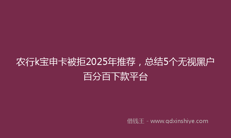 农行k宝申卡被拒2025年推荐，总结5个无视黑户百分百下款平台