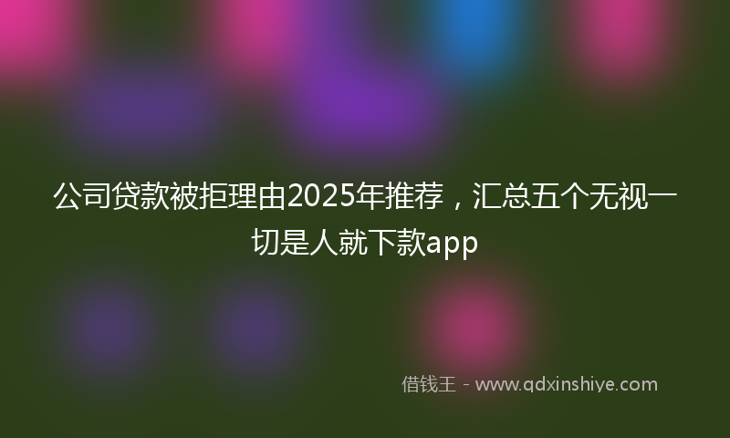 公司贷款被拒理由2025年推荐，汇总五个无视一切是人就下款app