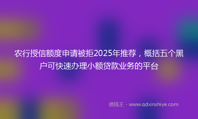 农行授信额度申请被拒2025年推荐，概括五个黑户可快速办理小额贷款业务的平台
