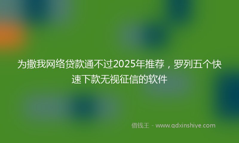 为撒我网络贷款通不过2025年推荐，罗列五个快速下款无视征信的软件