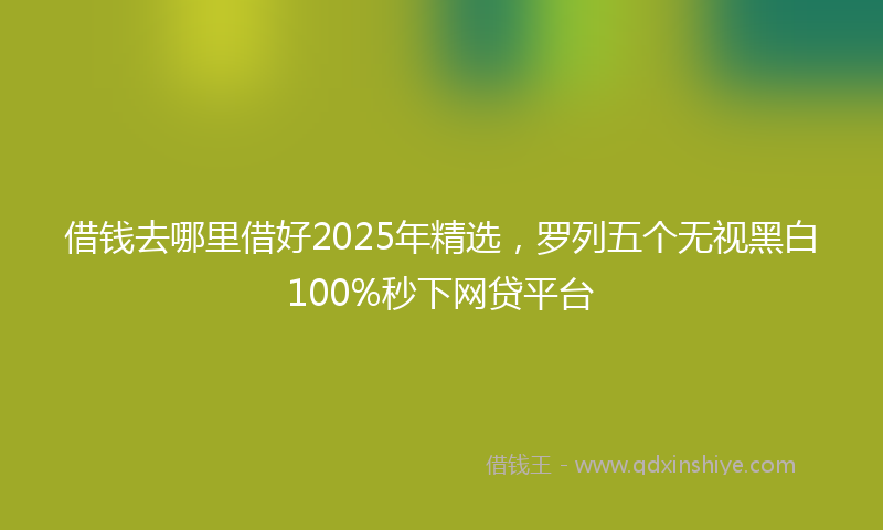 借钱去哪里借好2025年精选，罗列五个无视黑白100%秒下网贷平台