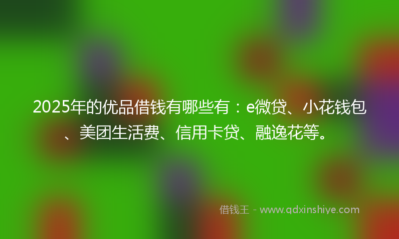 2025年的优品借钱有哪些有:e微贷、小花钱包、美团生活费、信用卡贷、融逸花等。