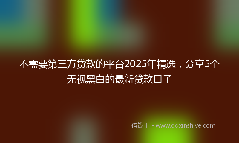 不需要第三方贷款的平台2025年精选，分享5个无视黑白的最新贷款口子