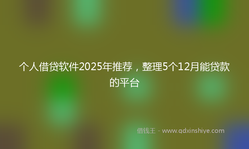 个人借贷软件2025年推荐，整理5个12月能贷款的平台