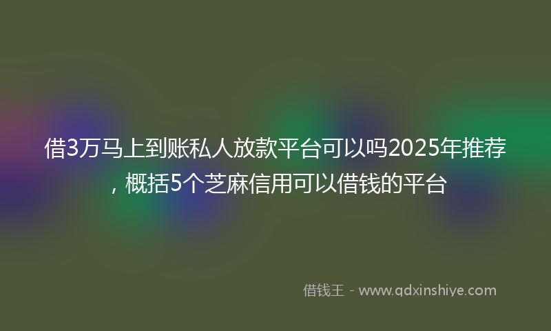 借3万马上到账私人放款平台可以吗2025年推荐，概括5个芝麻信用可以借钱的平台