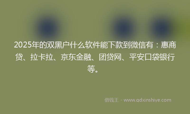 2025年的双黑户什么软件能下款到微信有：惠商贷、拉卡拉、京东金融、团贷网、平安口袋银行等。