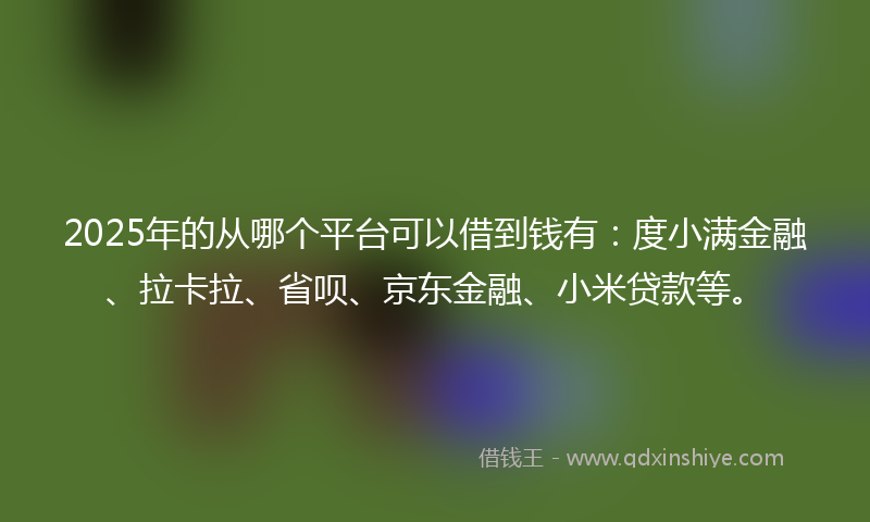 2025年的从哪个平台可以借到钱有：度小满金融、拉卡拉、省呗、京东金融、小米贷款等。