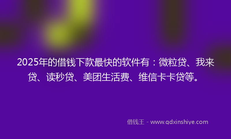 2025年的借钱下款最快的软件有：微粒贷、我来贷、读秒贷、美团生活费、维信卡卡贷等。