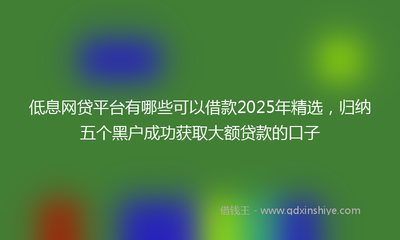 低息网贷平台有哪些可以借款2025年精选，归纳五个黑户成功获取大额贷款的口子
