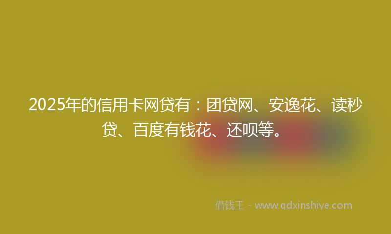 2025年的信用卡网贷有：团贷网、安逸花、读秒贷、百度有钱花、还呗等。