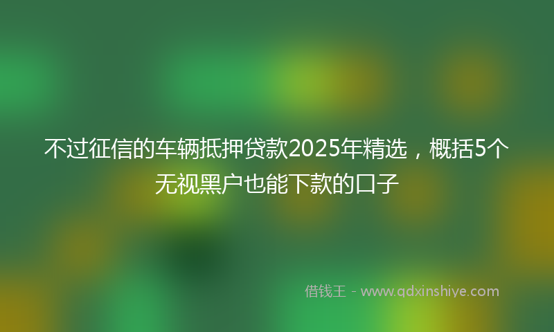 不过征信的车辆抵押贷款2025年精选，概括5个无视黑户也能下款的口子