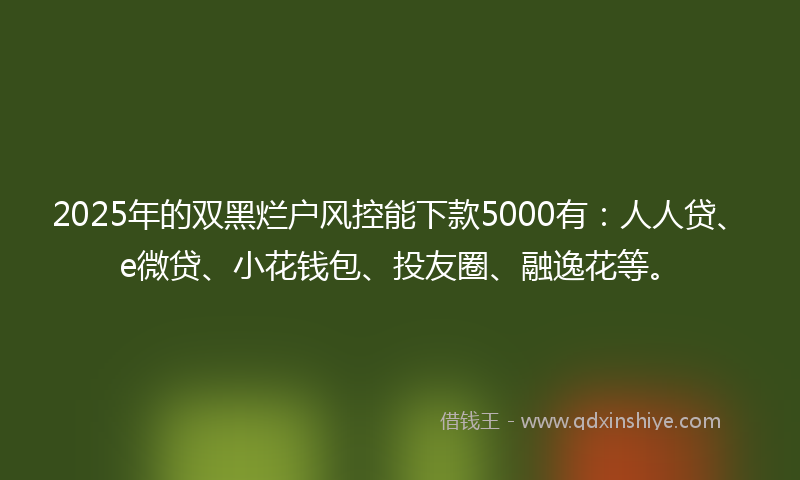 2025年的双黑烂户风控能下款5000有：人人贷、e微贷、小花钱包、投友圈、融逸花等。