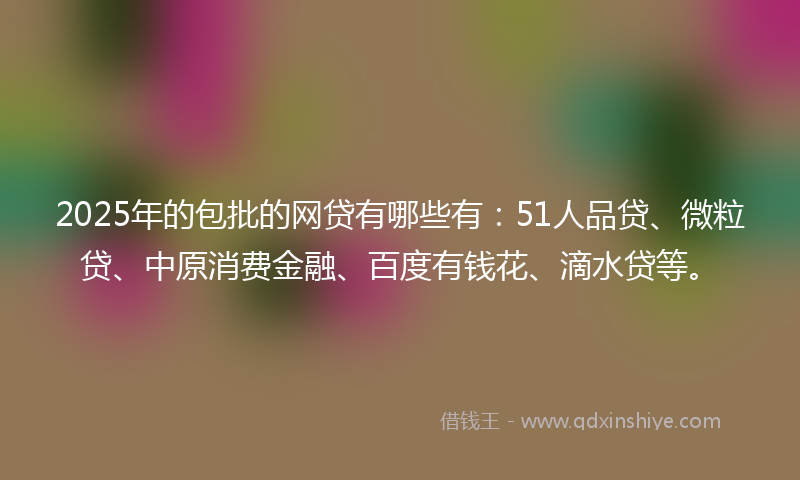 2025年的包批的网贷有哪些有：51人品贷、微粒贷、中原消费金融、百度有钱花、滴水贷等。
