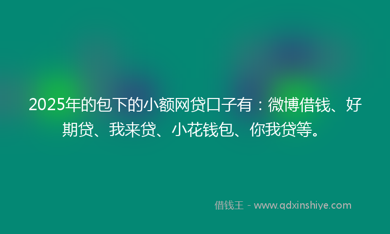 2025年的包下的小额网贷口子有：微博借钱、好期贷、我来贷、小花钱包、你我贷等。