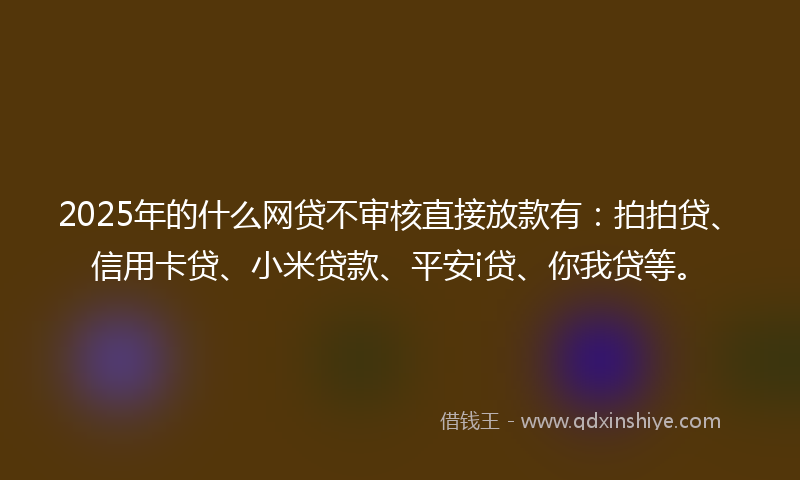 2025年的什么网贷不审核直接放款有：拍拍贷、信用卡贷、小米贷款、平安i贷、你我贷等。
