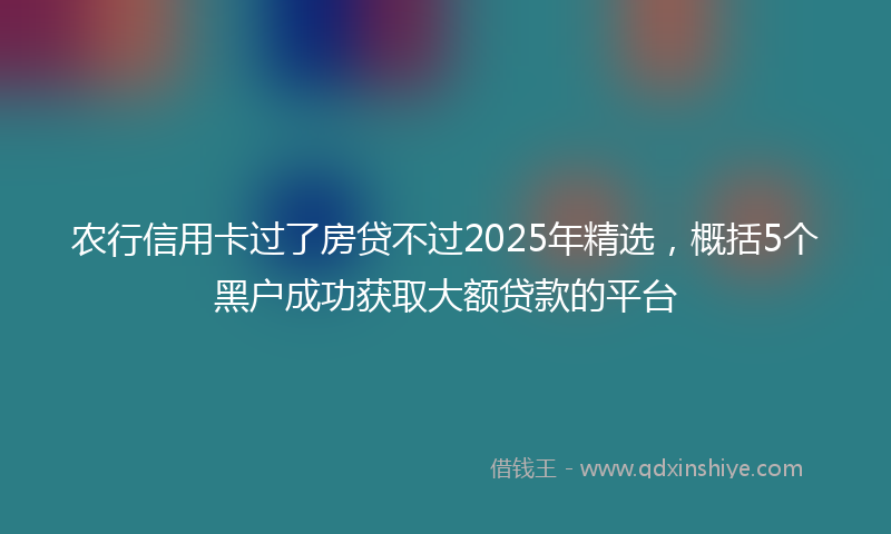 农行信用卡过了房贷不过2025年精选，概括5个黑户成功获取大额贷款的平台