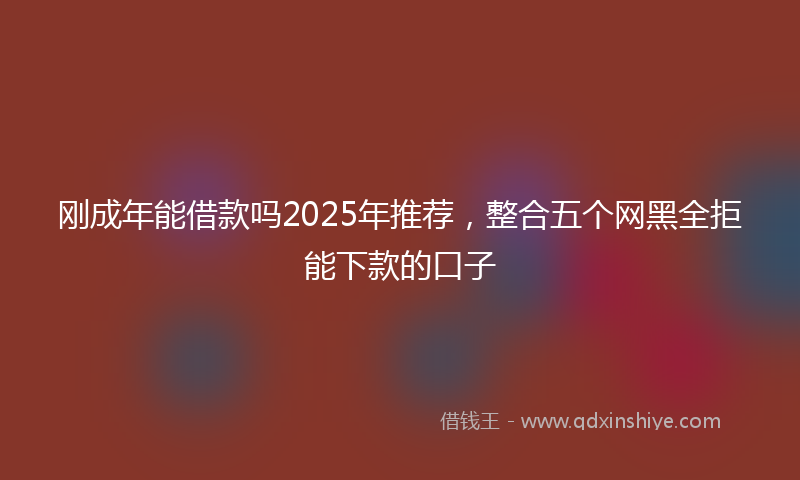 刚成年能借款吗2025年推荐，整合五个网黑全拒能下款的口子
