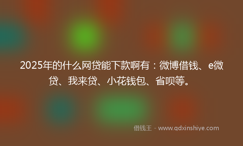 2025年的什么网贷能下款啊有：微博借钱、e微贷、我来贷、小花钱包、省呗等。
