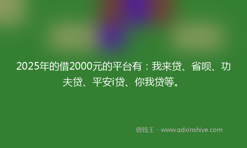 2025年的借2000元的平台有：我来贷、省呗、功夫贷、平安i贷、你我贷等。