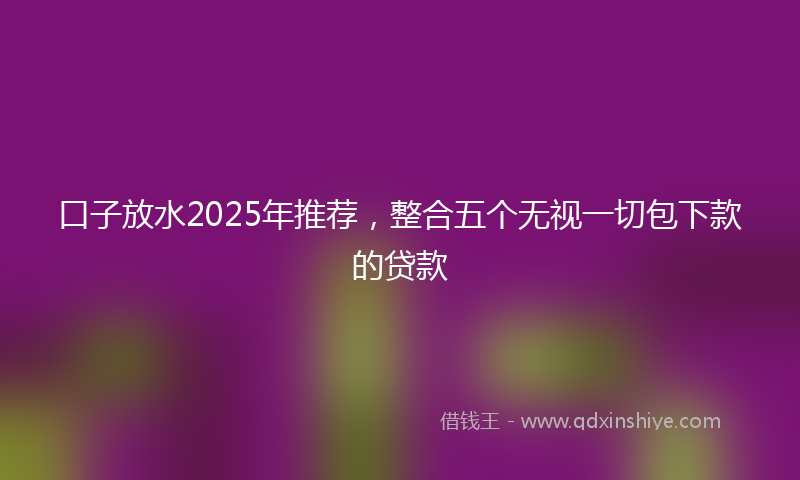 口子放水2025年推荐，整合五个无视一切包下款的贷款