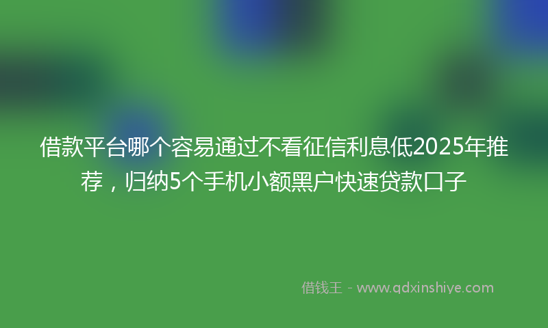 借款平台哪个容易通过不看征信利息低2025年推荐，归纳5个手机小额黑户快速贷款口子