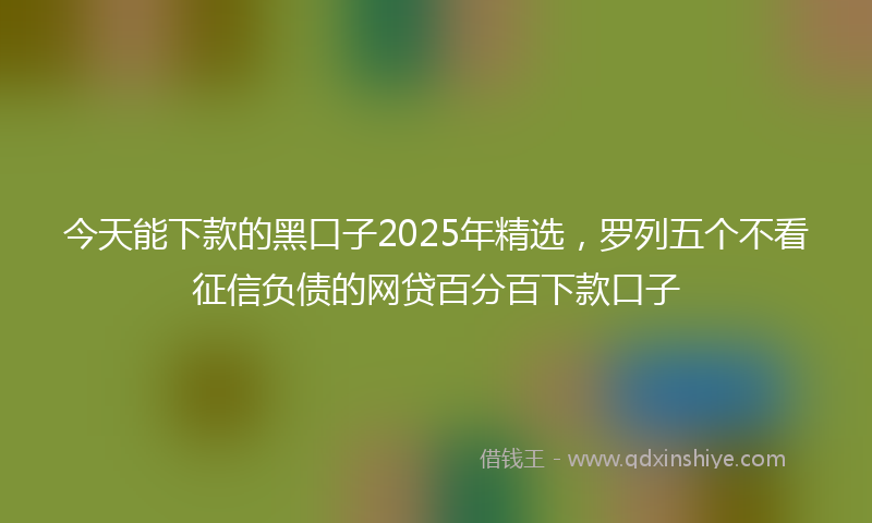 今天能下款的黑口子2025年精选，罗列五个不看征信负债的网贷百分百下款口子