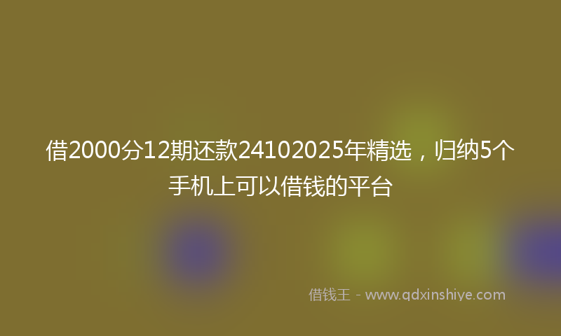 借2000分12期还款24102025年精选，归纳5个手机上可以借钱的平台