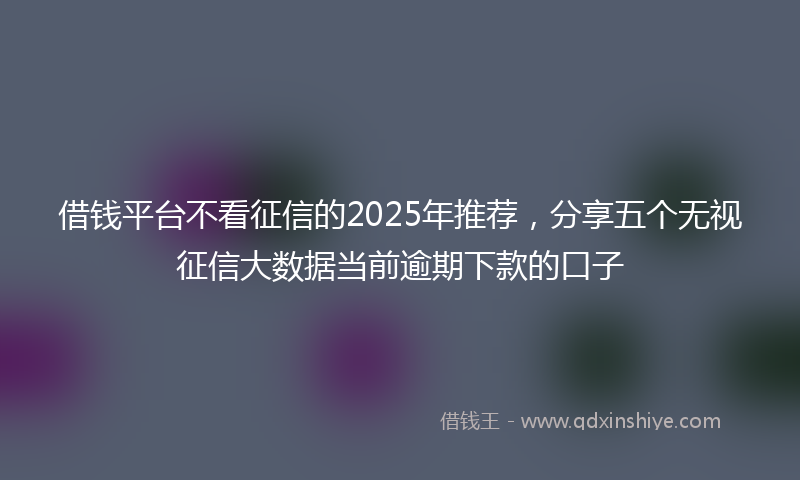 借钱平台不看征信的2025年推荐，分享五个无视征信大数据当前逾期下款的口子