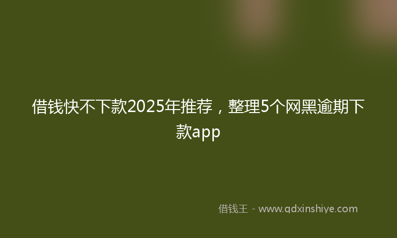 借钱快不下款2025年推荐，整理5个网黑逾期下款app