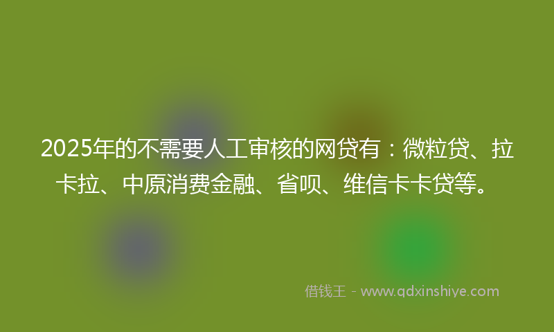2025年的不需要人工审核的网贷有：微粒贷、拉卡拉、中原消费金融、省呗、维信卡卡贷等。