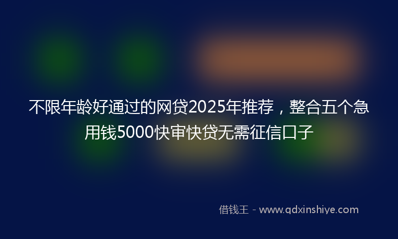 不限年龄好通过的网贷2025年推荐，整合五个急用钱5000快审快贷无需征信口子