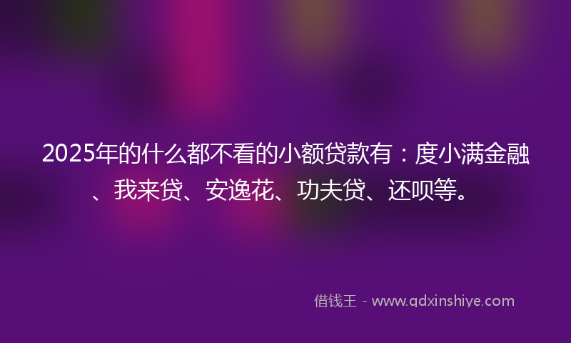 2025年的什么都不看的小额贷款有：度小满金融、我来贷、安逸花、功夫贷、还呗等。