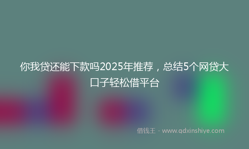 你我贷还能下款吗2025年推荐，总结5个网贷大口子轻松借平台