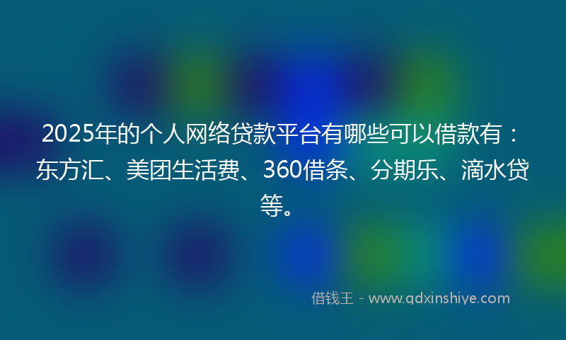 2025年的个人网络贷款平台有哪些可以借款有：东方汇、美团生活费、360借条、分期乐、滴水贷等。