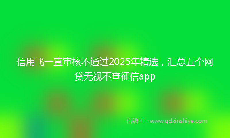信用飞一直审核不通过2025年精选，汇总五个网贷无视不查征信app